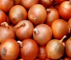 [111 - 42548 - 2060042548] Colossal Onions - 25 lbs Unit