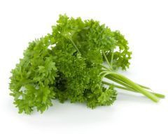 [4203 - 42664 - 72906299120] Curly Parsley - 6 ct Case