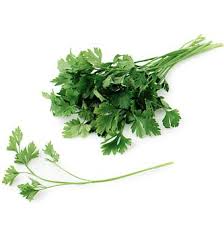 [4203 - 42698 - 72906299119] Flat Parsley - 6 ct Unit