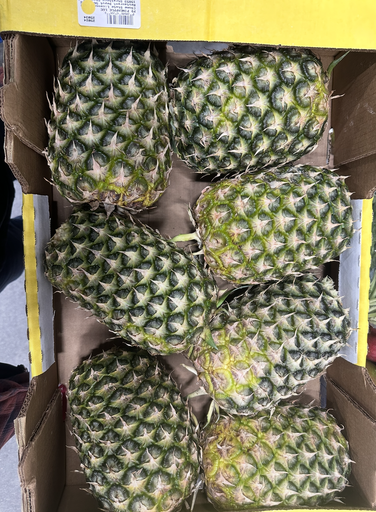 [4403 - 67164 - 2060067164] Pineapple - 6 ct Unit